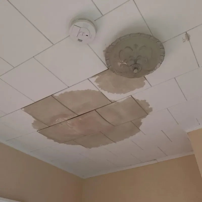 Ceiling Water Damage Repair in Athens, WI