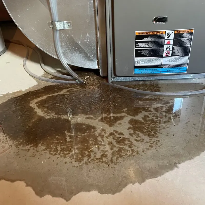 Pipe Burst and Leak Restoration in Athens, WI