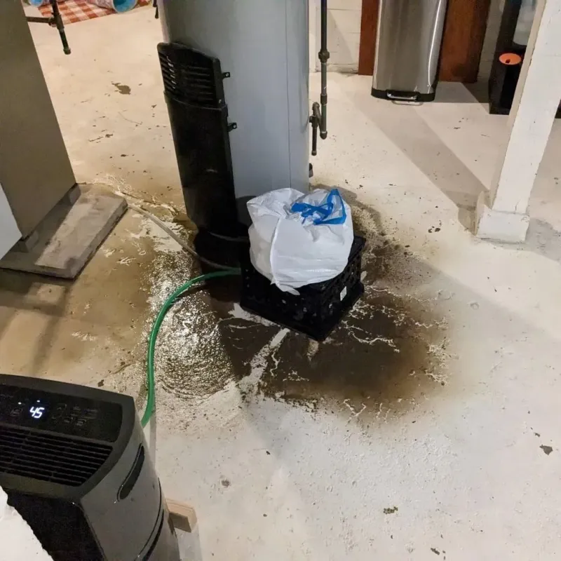 Sewage Backup Cleanup Service in Athens, WI